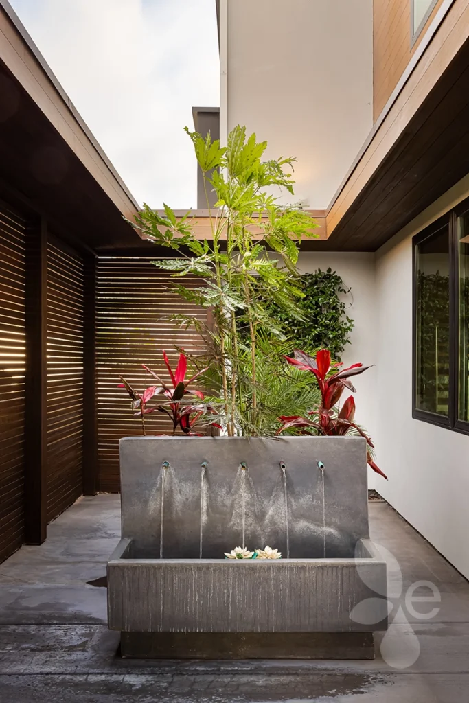 Stone water feature with plants in the middle, enclosed by the house and pergola structure.