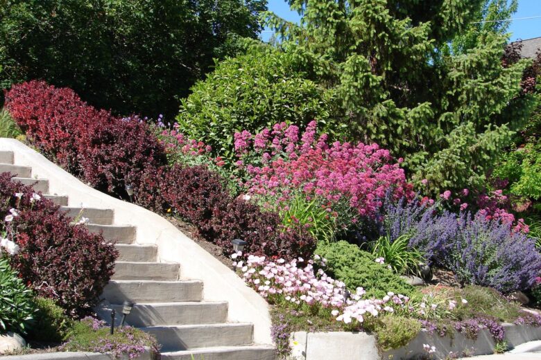 How (Not) to Maintain Your Xeriscape - Eco Minded Solutions