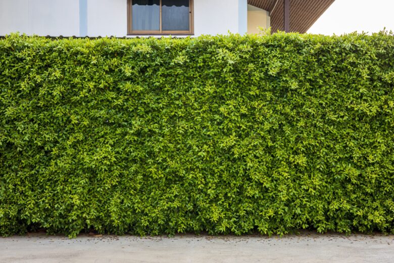 6 Benefits of Living Walls | Eco Minded Solutions